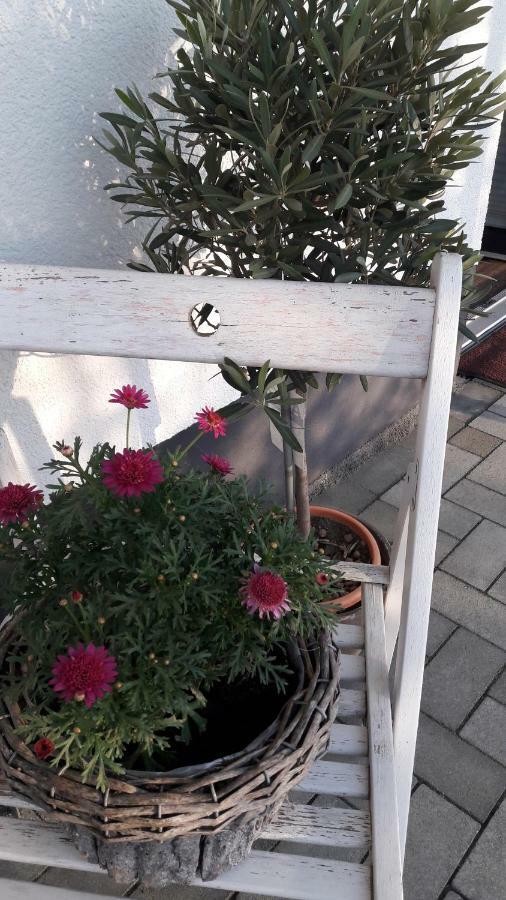 Ferienwohnung Sayntalblick Caan Ngoại thất bức ảnh